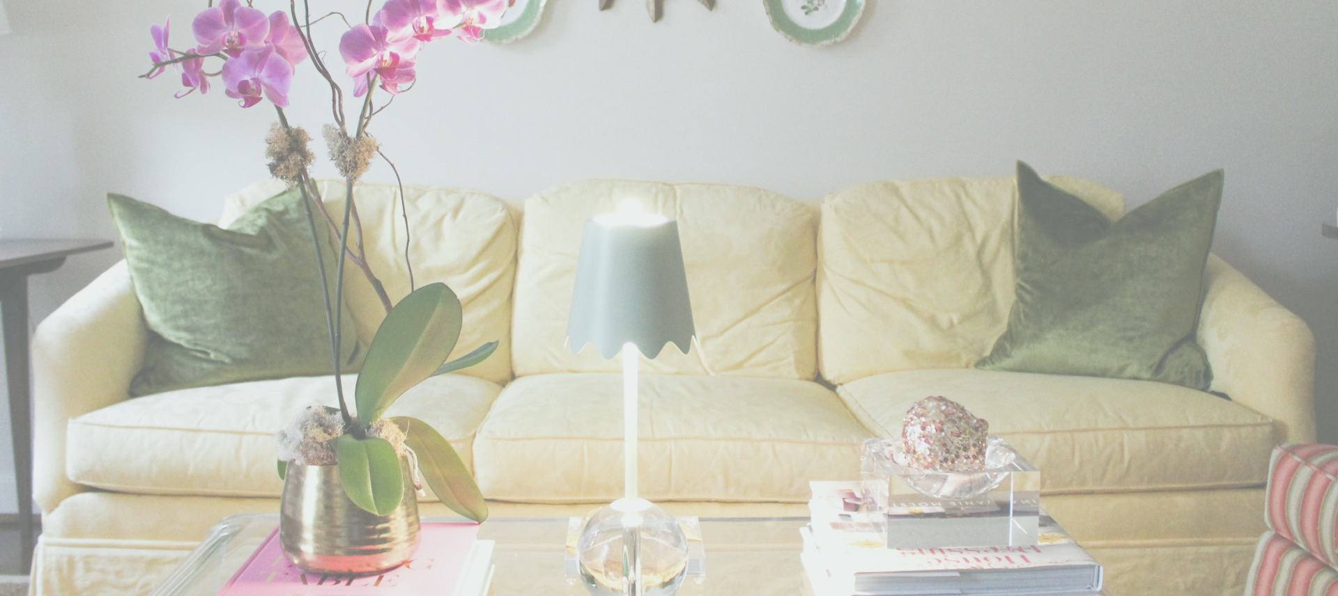 Banner Image 1